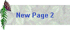 New Page 2