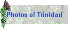 Photos of Trinidad