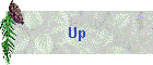 Up